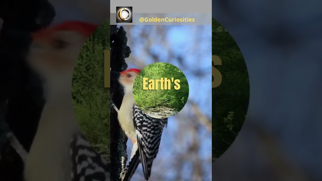 It was BORN 80,000+ YEARS ago.