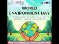 World Environment Day!🌱🌏
