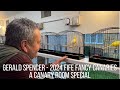 Gerald spencers fife fancy canaries  a canary room special