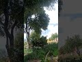 أحوال الناس في الدنيا اكسبلور البادية تربية الغنم تيك توك القرآن الكريم لايك اكسبلور دويتو