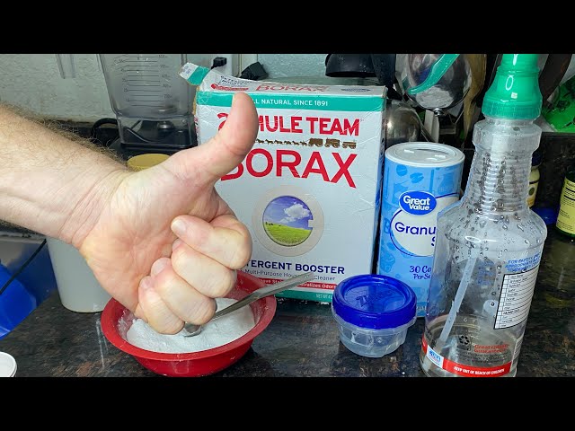 How To Make Homemade ANT KILLER with BORAX! How To Remove Ants From House Naturally class=