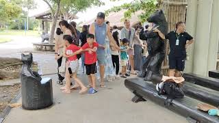 video 20260726 144306