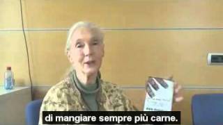 Jane Goodall supports 8hours