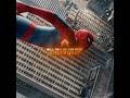 PEAK Spider Man Brand New Day Montagem Santa Fe PEAK Spider Man Brand New Day Montagem Santa Fe