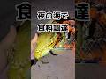 夜の海でまさかの大物に遭遇した #shorts #自給自足