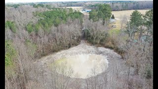 Huge Transformation On The Forgotten Pond In The Woods