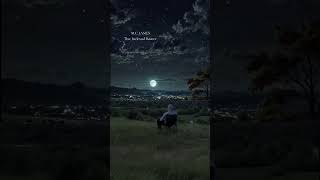 Some roads don’t take you anywhere… they bring you back to yourself. #countrymusic #CountrySoul #fyp