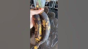 ഏത്തപ്പഴം അഥവാ നേന്ത്രപ്പഴം ഒരു അത്ഭുത ഭക്ഷണം#healthtips #drrajeshkumar  #banana