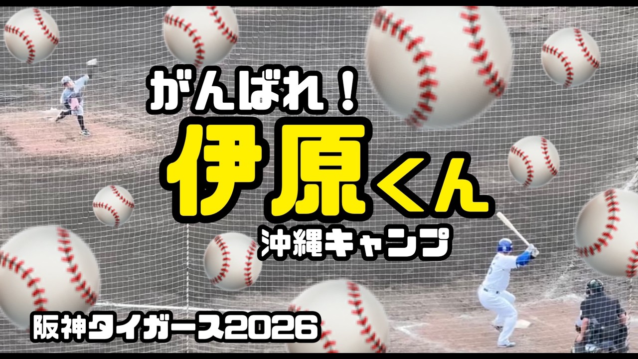 2026阪神タイガース春季沖縄キャンプ 練習試合 中日ドラゴンズVS阪神