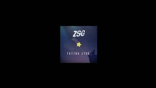 Zsg - Falling Star