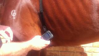 Heart Rate Strap Placement - Wahoo Type screenshot 1