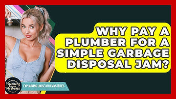 Why Pay A Plumber For A Simple Garbage Disposal Jam? - Explaining Household Mysteries