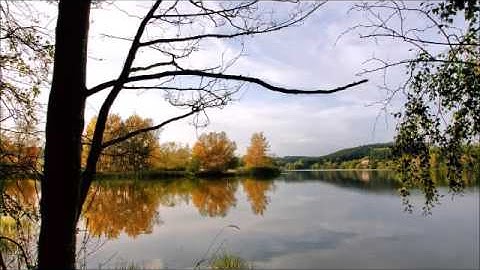 039 سورة الزمر   عبد الباسط عبد الصمد   المصحف المرتل