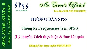 01.09.2022 Hướng dẫn SPSS | Thống kê Frequencies trên SPSS (Lý thuyết, Cách thực hiện & Đọc kết quả)