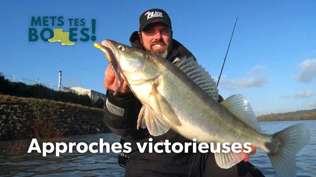 La Seine révélée par les experts de la pêche aux carnassiers