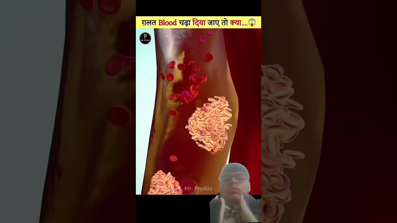 Why Do The Same Blood Types Matter 