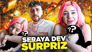 Seraya Yeni̇ Kedi̇ Aldim Dev Sürpri̇z 