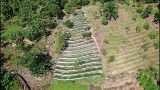 Biar Berkat Enterprise Farm
