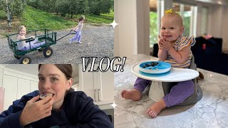 VLOG | throwing a party, apple picking and “there’s a baby outside” 😳💕👌