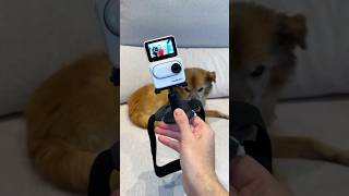 Tu perro necesita esta cámara! 🐶 #dogmode