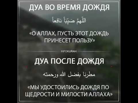 хадисы про дождик. пусть твоя доброта будет подобна дождю. дождь милость аллаха хадис. дождь хадисы. дождь хадисы.