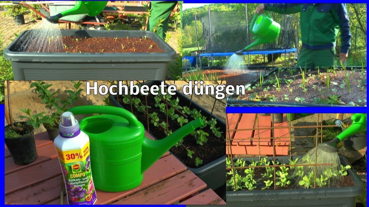 Hochbeet zur Aussaat vorbereiten Biologisch Dngen mit effektiven  Mikroorganismen Dngen allgemein