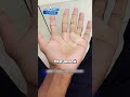 Кошки которые ходят на каблуках! #топ #рекомендации #животные #рекомендации #факты