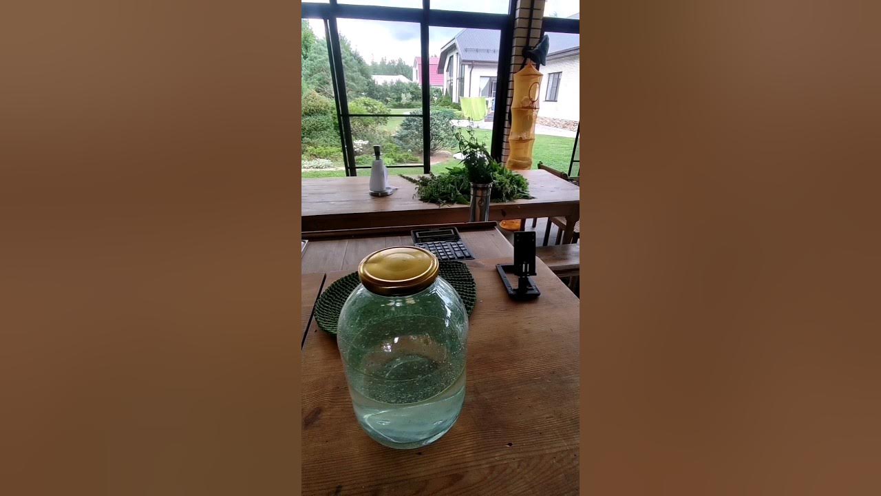 Только посмотрите, какой насыщенный гидролат полыни! #гидролат #сад # ...