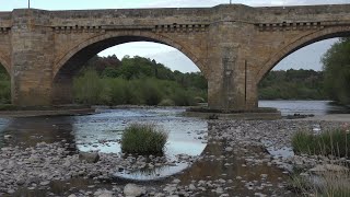 Views along the River Tyne @ Corbridge