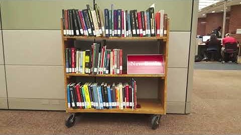 Welcome to the Libraries: The Lobby