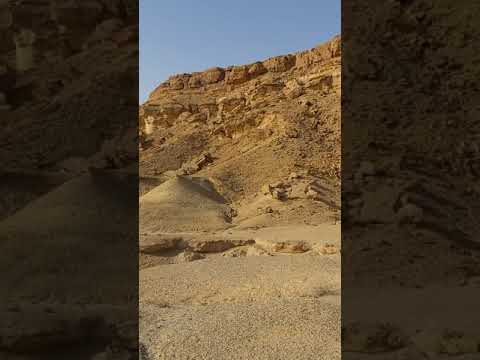 واد الملوك