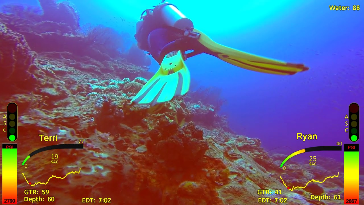 Scuba St. Lucia, Nov 2018, dive 13, Devil's Hole YouTube