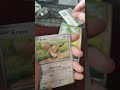 Opening a Pokemon 151 booster pack Day 3 of 6 #pokemon #pokemoncards #pokemon151