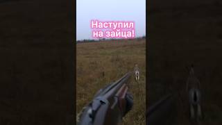 ОХОТА НА ЗАЙЦА🐇.Чернотроп.Hare hunting.#охота #охотаназайца #чернотроп#hunter#hunting