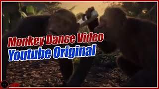 Monkey Dance Video Youtube Original