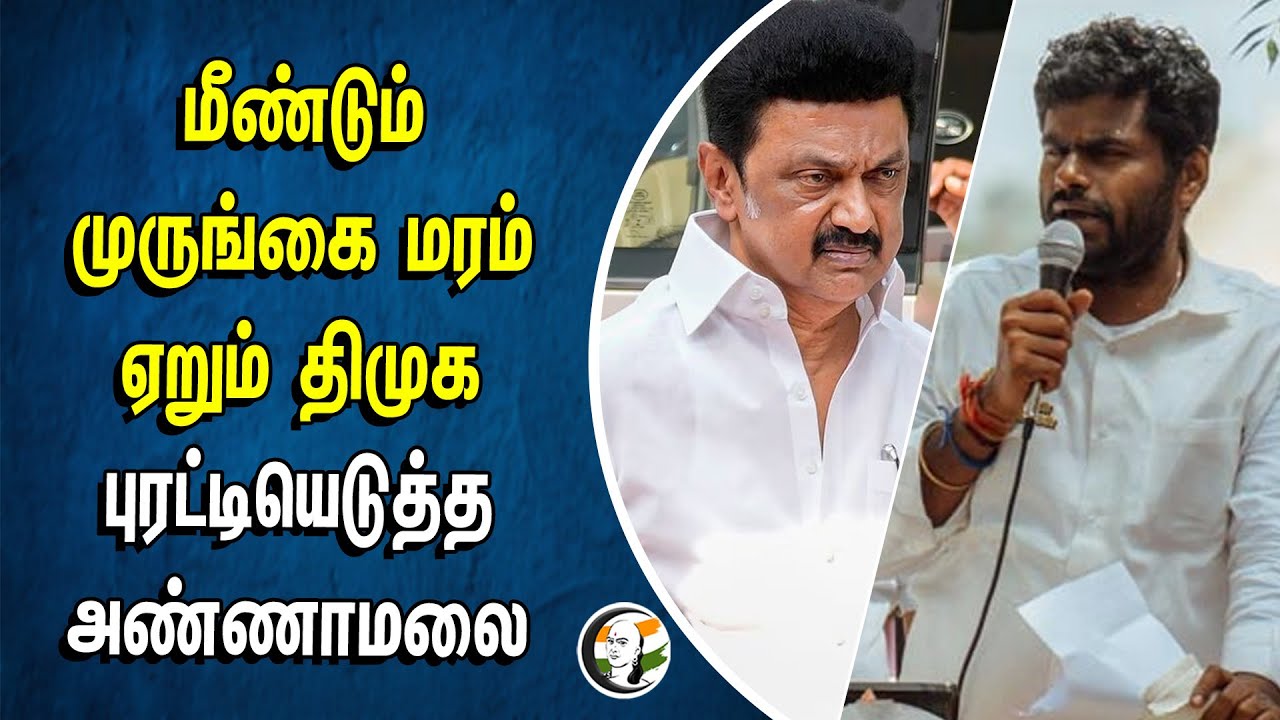 மீண்டும் முருங்கை மரம் ஏறும் திமுக.. புரட்டியெடுத்த Annamalai |  BJP | Dmk