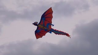 Let's Go Fly A Kite! (SMOKE SESH)