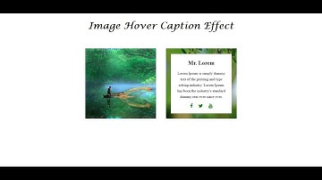 Image Hover Caption Effect and also Responsive Using Only HTML & CSS - SFC