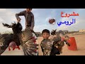 سوينا مشروع دجاج رومي 🦃😍