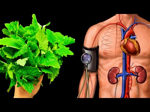 Bluthochdruck und Angina pectoris werden verschwinden! Omas 100 % natürliches Rezept!