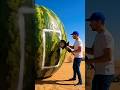 Turning a Giant Watermelon Into a Tiny House  🍉