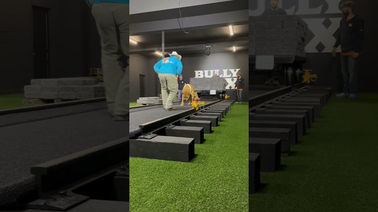 Sun pulling 12,142 pounds! 🔥 