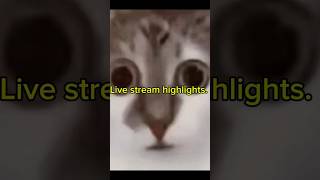 4 Dudes Play With Ducks fun clips duckgame stream 