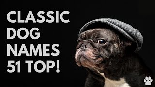 🐕Classic Dog Names 51 BEST 🐾 OLD-FASHIONED 🐾 Ideas | Names by Names 987 views 2 years ago 3 minutes, 22 seconds