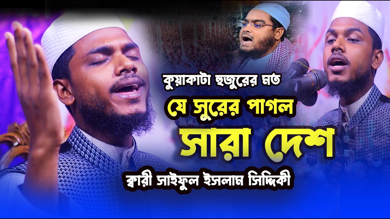 কুয়াকাটা হুজুরের মত যে সুরের পাগল সারা দেশ.../ ক্বারী সাইফুল ইসলাম সিদ্দিকী / / Bangla New Waz
