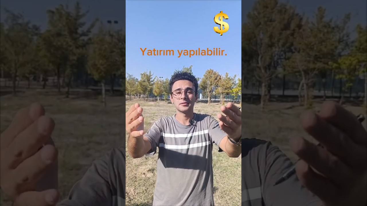 Dövize yatırım yapılır mı ? 