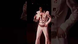 Elvis Making His Band Smile During the 70s #elvispresley #rarefootage #iconic