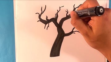 How to Draw Scary Tree - Halloween - Easy Pictures to Draw