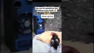 Her Sabah Sen Mi Ses Yapacaksin Şköprü