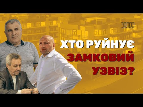 Who opened the portal to the development of Zamkovyi Uzviz in Cherkasy, and how?